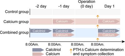 Preoperative supplementation of calcitriol and calcium relieves symptom and extent of hypocalcemia in patients undergoing total thyroidectomy and bilateral central compartment neck dissection: A prospective, randomized, open-label, parallel-controlled clinical study